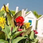 Ξενοδοχείο Aurora 4*